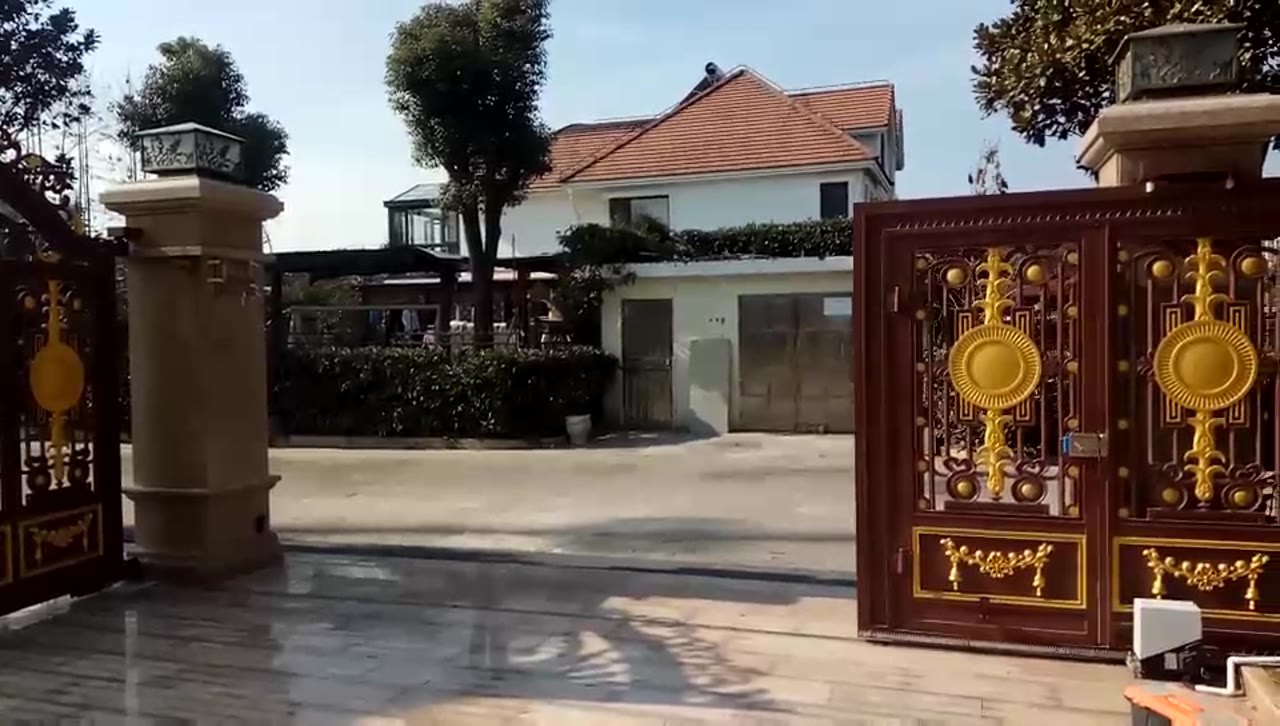 铜艺大门 图 4
