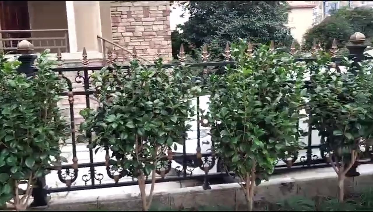 铁艺庭院大门 图 2